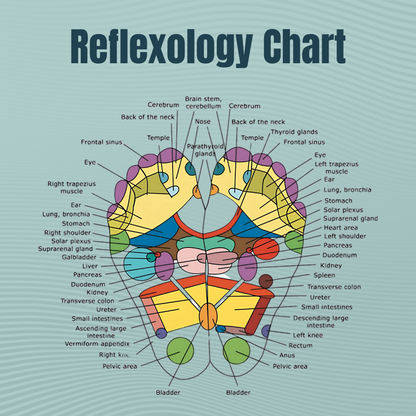 FeetyFirst™ Acupressure Massage Slippers